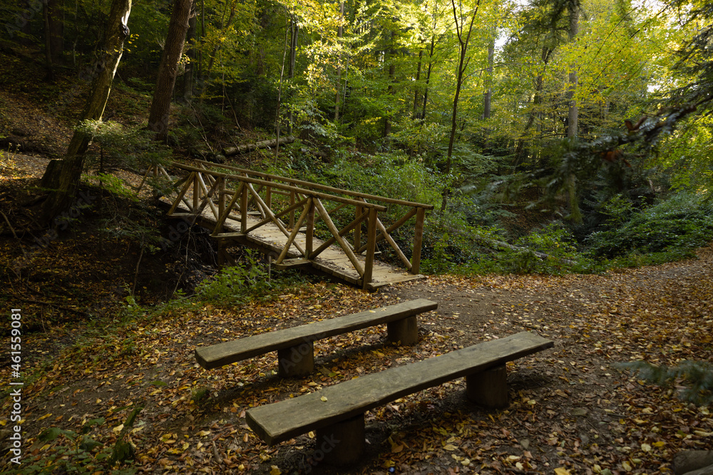 Wooden benches in national park PL