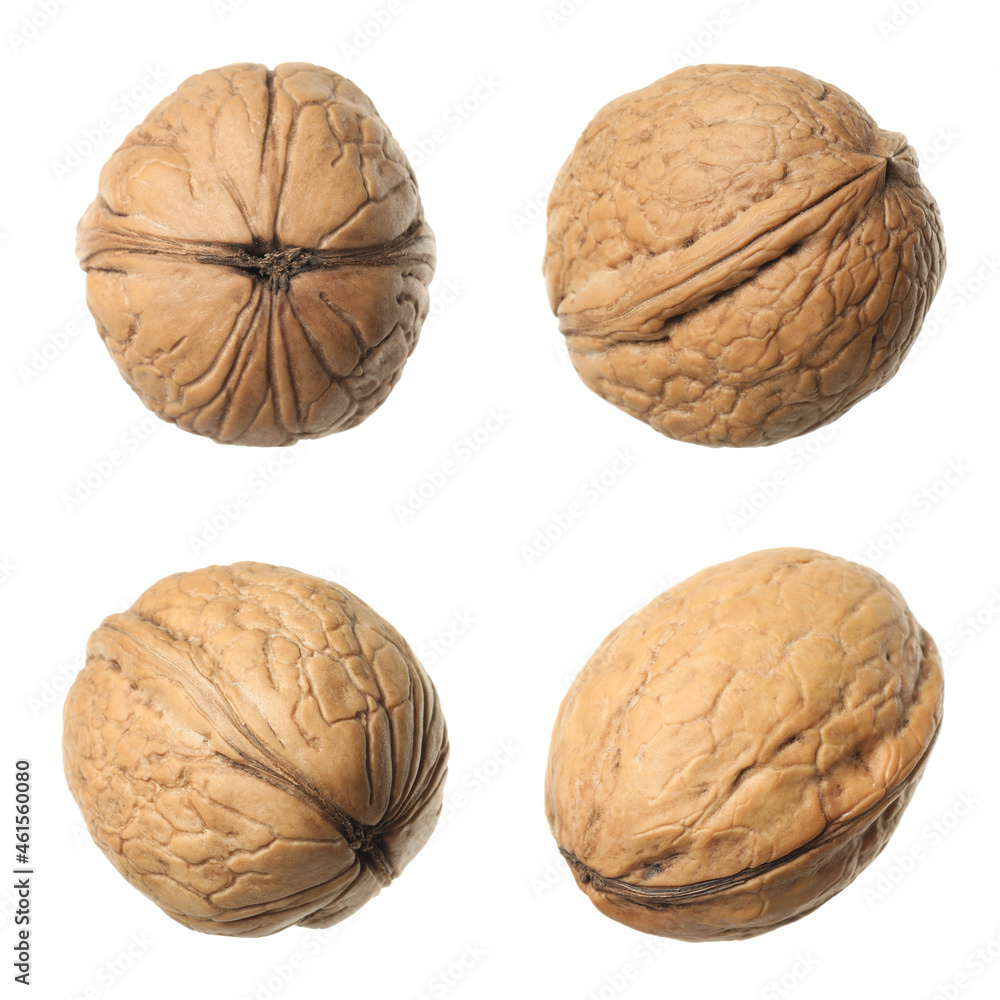 Set with tasty walnuts on white background Set with tasty walnuts on white background
