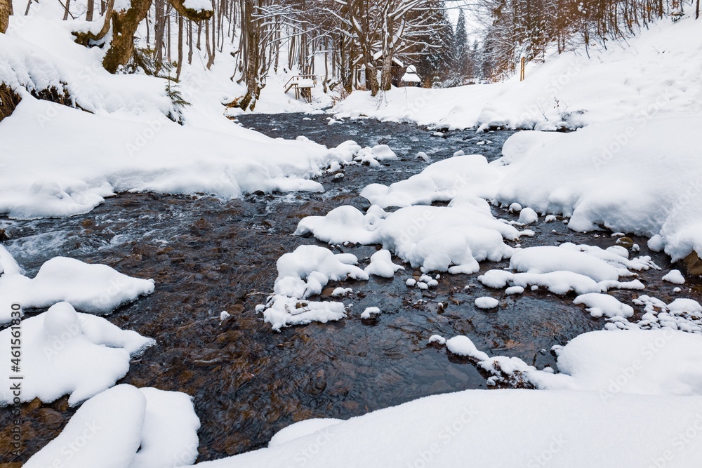 A mountain stream flows among stones and trees in the Carpathian mountains A mountain stream flows among stones and trees in the Carpathian mountains