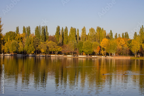 Beautiful trees with bright autumn foliage on the shore of a pond with a reflection on a clear sunny October day