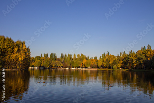 Beautiful trees with bright autumn foliage on the shore of a pond with a reflection on a clear sunny October day