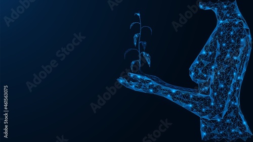 A sapling of a young plant in the hands of a girl. A low-poly construction of interconnected lines and dots. Blue background.