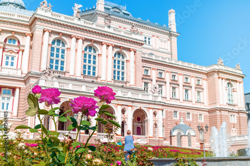 Beautiful flowers in front of the Odessa Opera and Ballet Theater. Focus on flowers. Ukraine.
