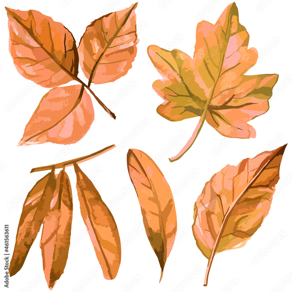 Fototapeta premium Vector watercolor style set of illustrated fall leaves 