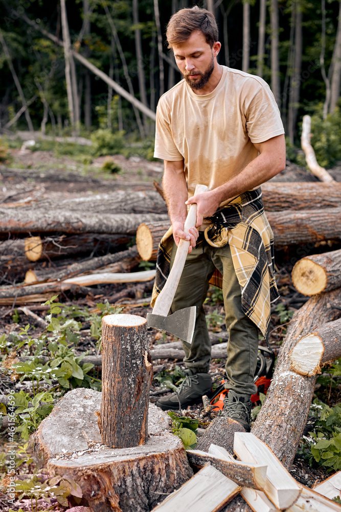 Woodcutter in casual shirt chops tree in deep forest with sharp ax. Brutal muscular male working alone, chopping trees, getting firewood. Side view. caucasian lamberjack in the evening outdoors