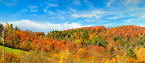 Fototapeta Naklejka Na Ścianę i Meble -  Beautiful sunny day with autumn trees