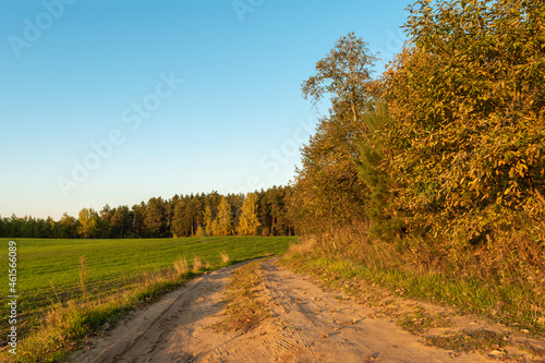 Sandy rural road between green agricultural field and bushes. Autumn evening with clear blue skies and orange light of the setting sun