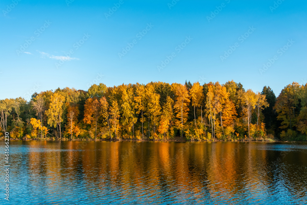 Colorful yellow orange trees on the banks of a river or lake are reflected in the wavy water. Scenic autumn landscape with clear blue skies and the light of the setting sun