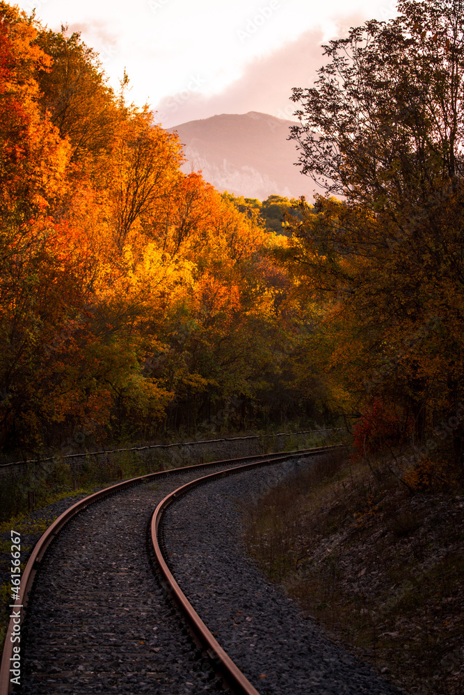 railroad in autumn
