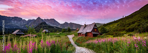 Beautiful summer sunrise in the mountains - Hala Gasienicowa in Poland - Tatras photo