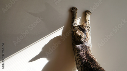 Photography close up of a face