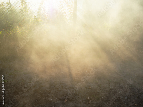 sun rays in smoke from burning leaves over garden