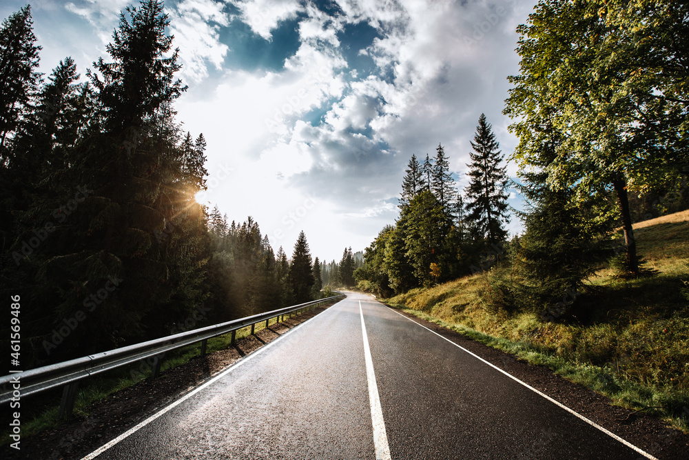 Fototapeta premium After rain