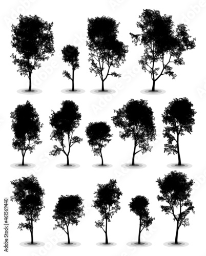 Highly detailed vector silhouettes of broad-leaved trees.
