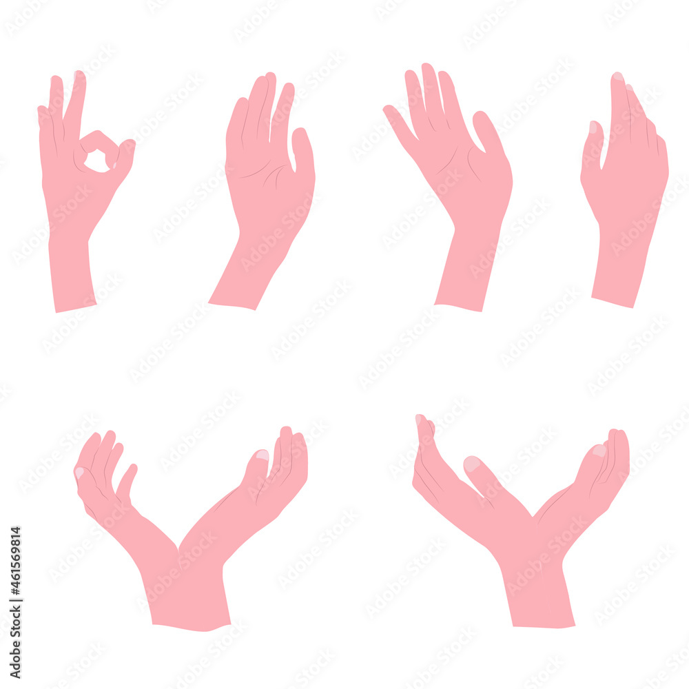 A set of graceful female hands in a variety of poses A set of graceful female hands in a variety of poses