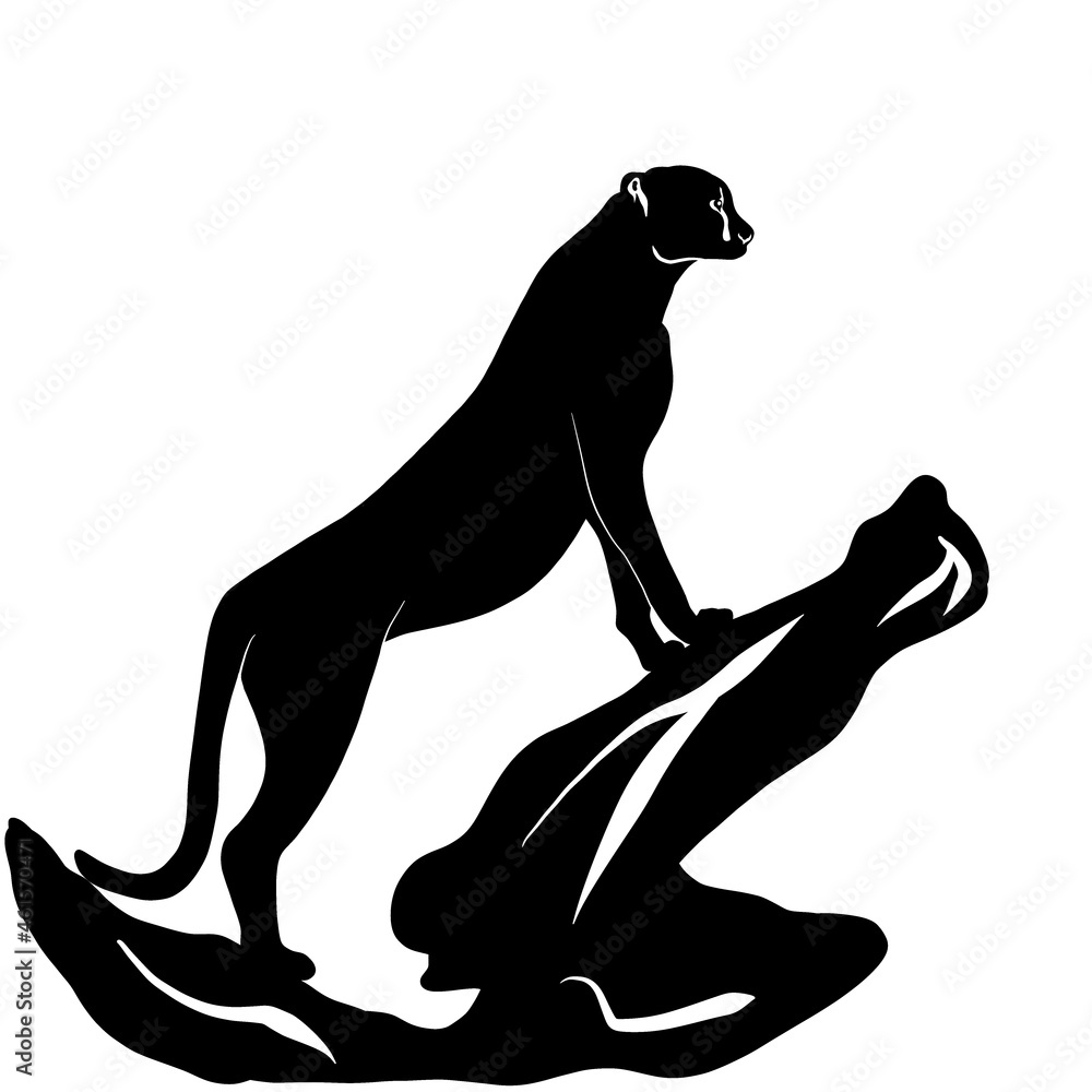 The silhouette of a cheetah. Black illustration of an African predator. A relative of a lion, a cat, a tiger, a leopard, a lynx, a cougar, a panther, cougars The silhouette of a cheetah. Black illustration of an African predator. A relative of a lion, a cat, a tiger, a leopard, a lynx, a cougar, a panther, cougars