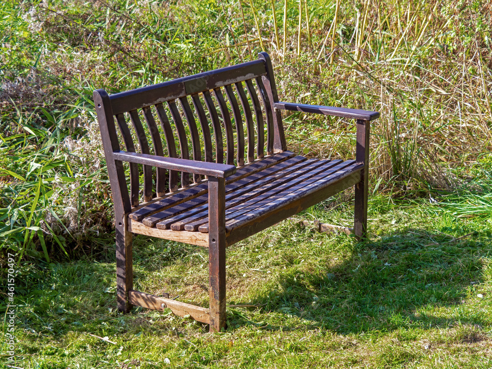 Old wooden bench surrounded by green vegetation Old wooden bench surrounded by green vegetation