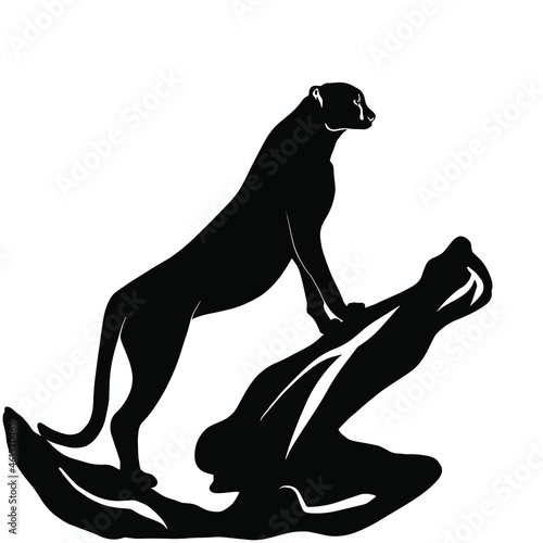 The silhouette of a cheetah. Black illustration of an African predator. A relative of a lion, a cat, a tiger, a leopard, a lynx, a cougar, a panther, cougars