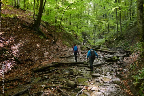 Fototapeta samoprzylepna Jesień w Bieszczadach. Turyści na szlakach. Las, strumienie, kolory jesieni.