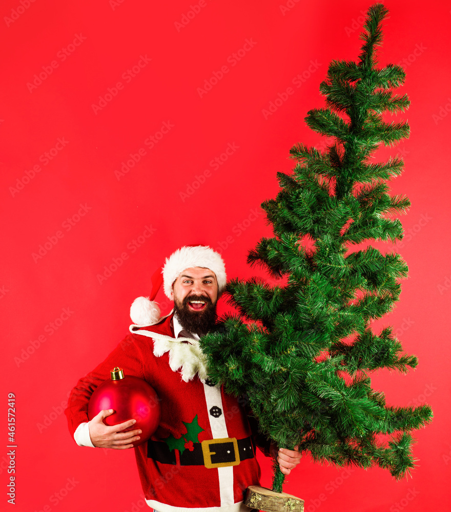 Smiling Bearded man in Santa Claus costume with fir tree and big Christmas ball. New year advertising.