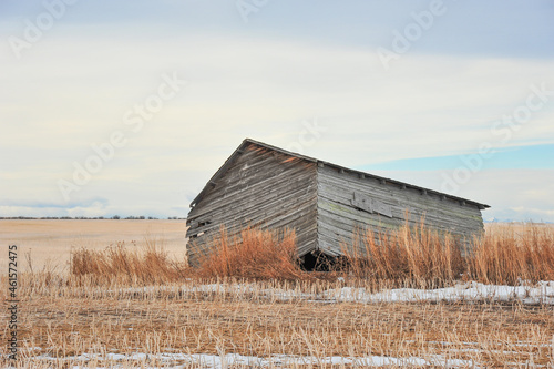 Calgary, Alberta, Canada - August 04, 2020: Abandoned grain shed alone and leaning in prairie field of Alberta, photo taken from Public Road Side