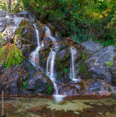 Una cascada en mitad del bosque