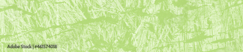 Fototapeta Naklejka Na Ścianę i Meble -  abstract light green background with copy space for design