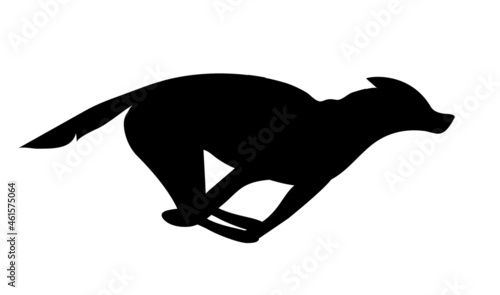 Vector illustration with silhouette of running sled dog, winter sport with black husky on white background
