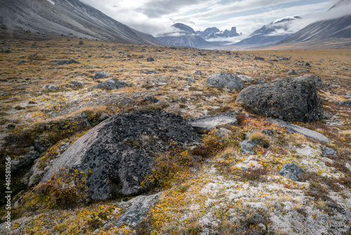 Cloudy day in the wild, remote arctic valley of Akshayuk Pass, Baffin Island, Canada. Iconic granite mountains on the distant horizon. Mt. Asgard in the far north. Big boulder in front, mossy floor. photo