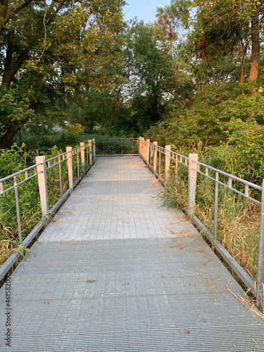 Bridge To Nature