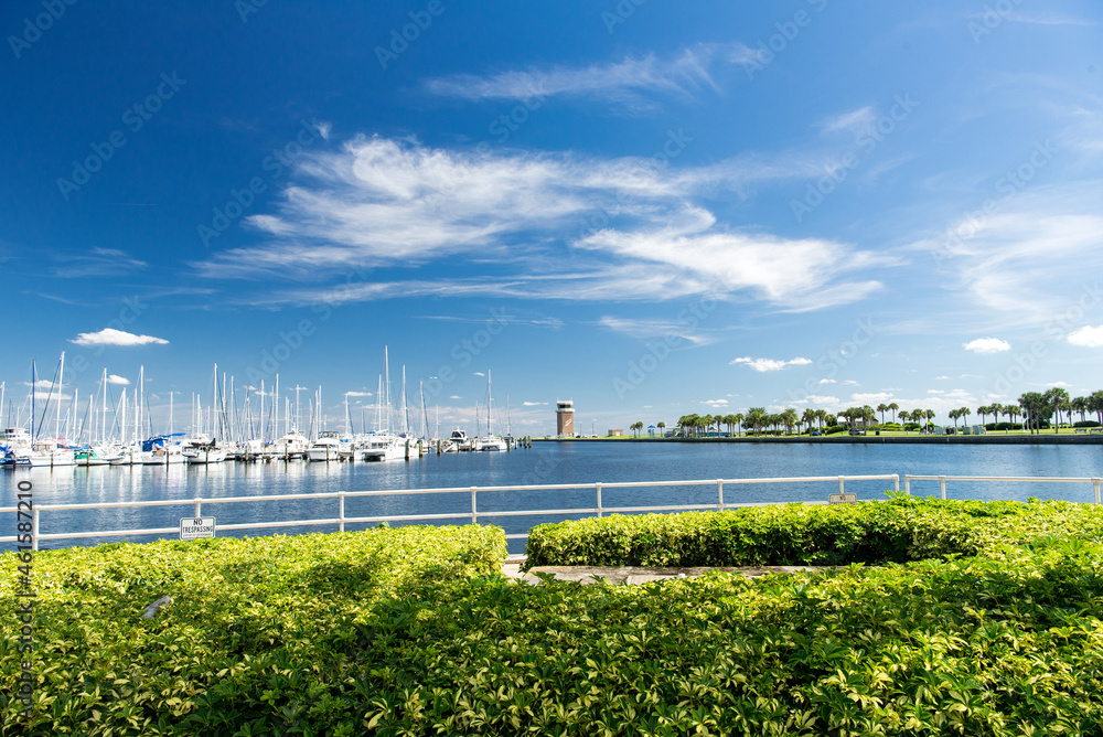 Marina with white yachts under blue sky