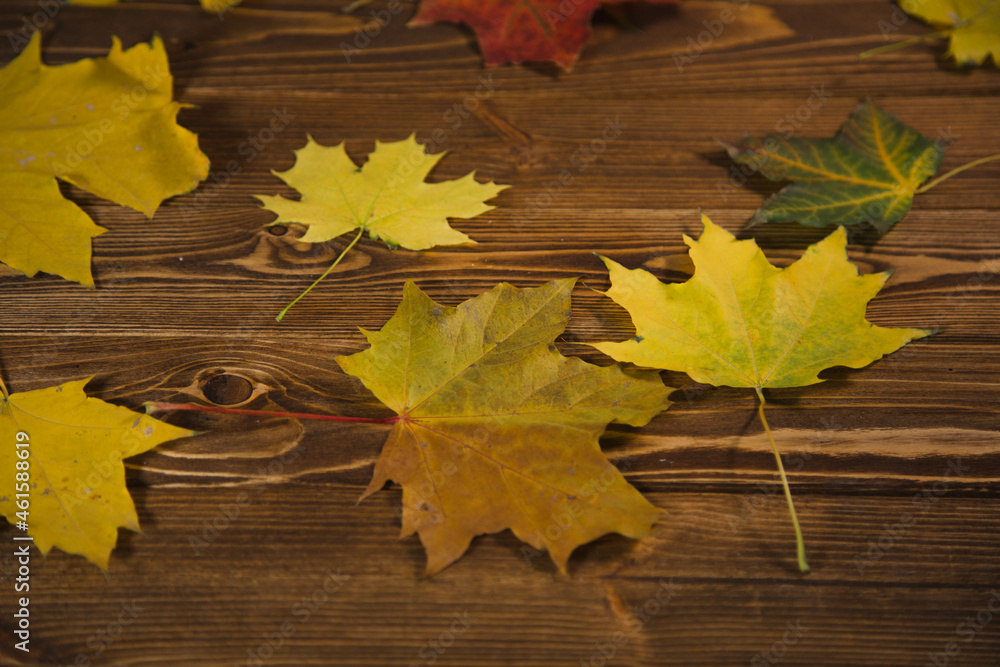 autumn leaves on wooden background autumn leaves on wooden background
