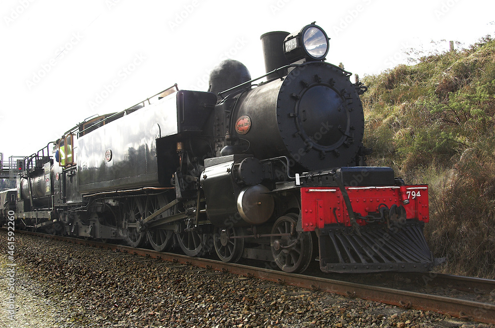 Naklejka premium Steam Locomotive in Action