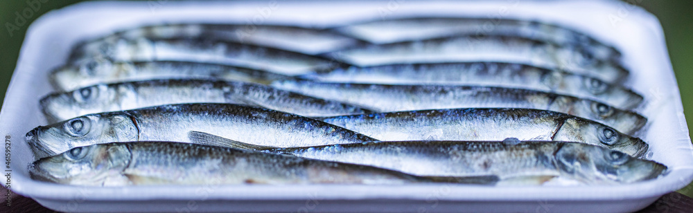 Herring bait fish frozen together used to catch salmon and other seafood  foto de Stock
