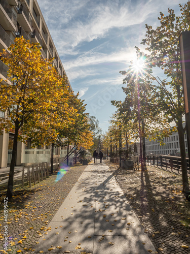 autumn in the park