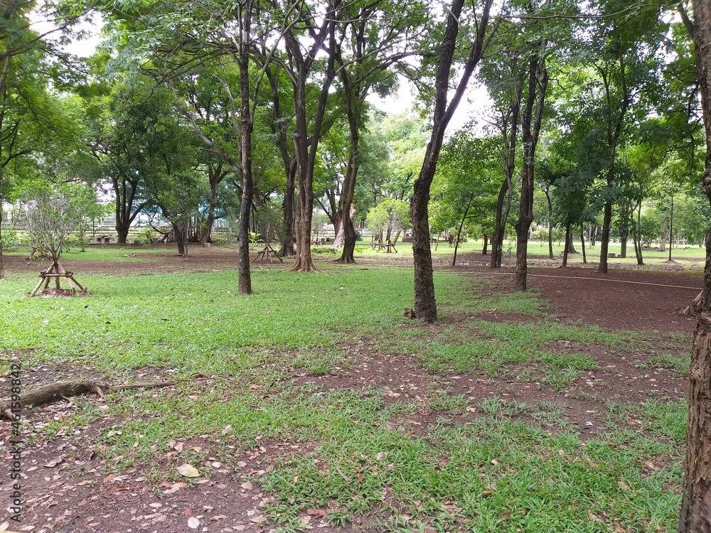 nature garden in country Thailand nature garden in country Thailand