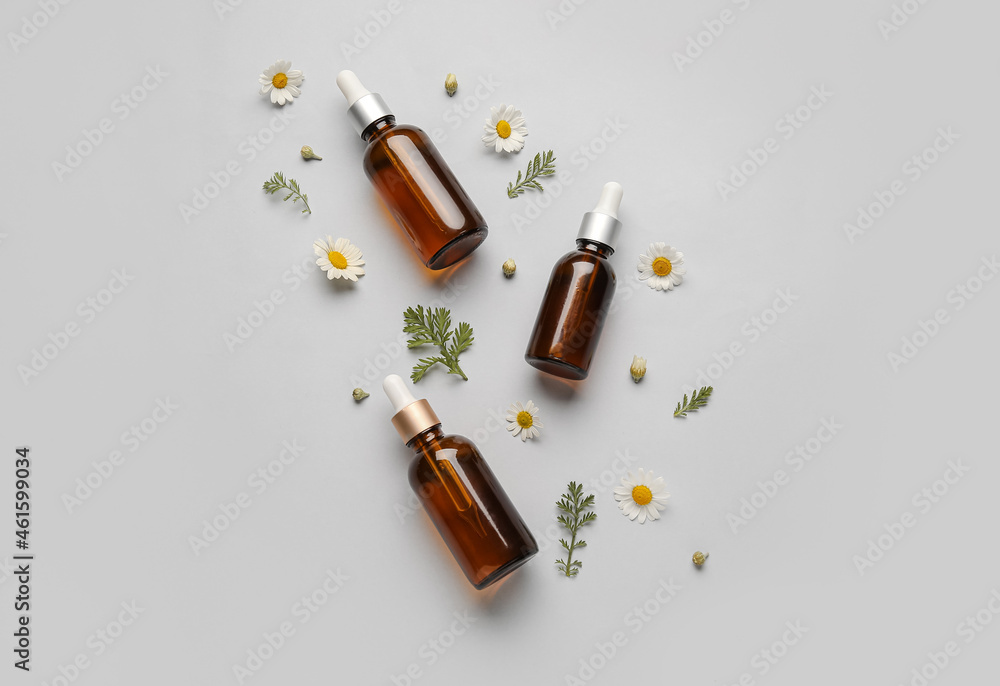 Composition with bottles of essential oil and chamomile flowers on grey background Composition with bottles of essential oil and chamomile flowers on grey background