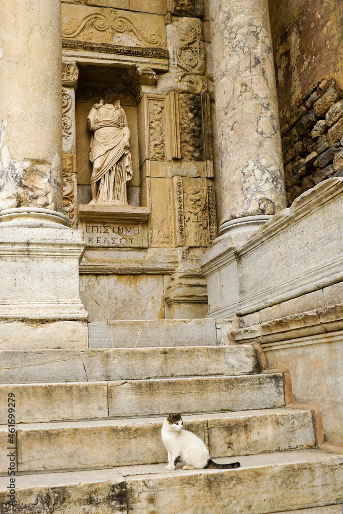 A marble statue of Episteme (Knowledge) stands in a niche of the ruined Roman facade of the Library of Celsus, Ephesus, Turkey A marble statue of Episteme (Knowledge) stands in a niche of the ruined Roman facade of the Library of Celsus, Ephesus, Turkey