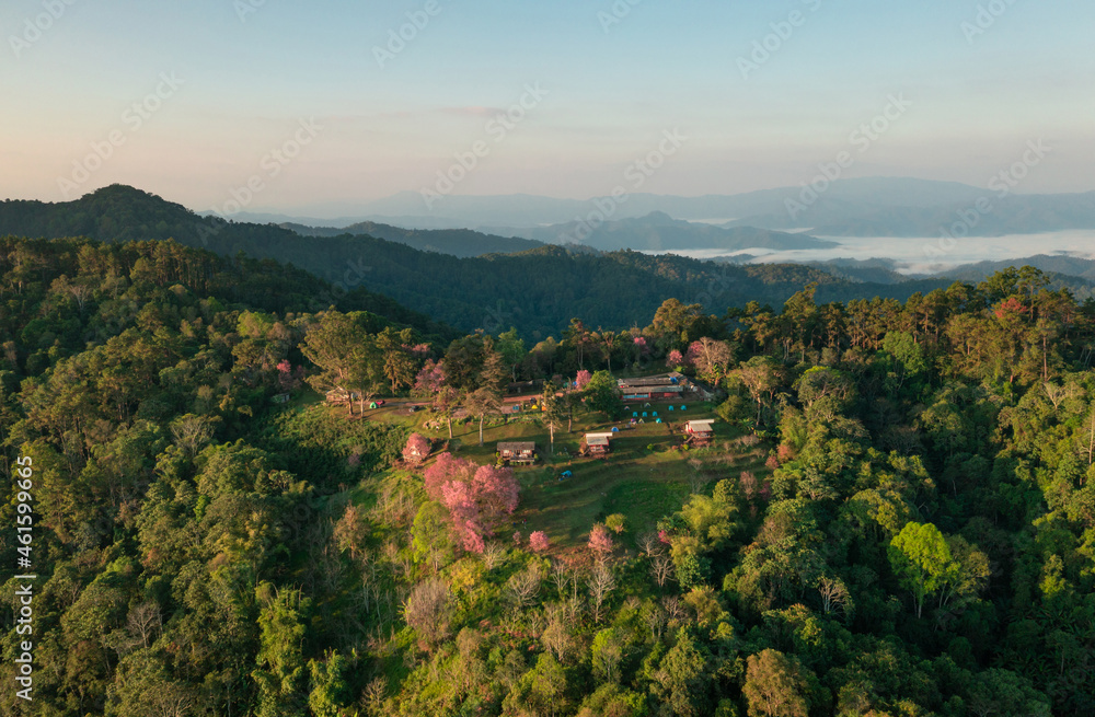 Aerial View of Doi Mae Taman, San Pa Kia. Mountains in the morning and the sea of mist, Doi Mae Taman, San Pa Kia. Chiang Mai Province, Thailand. Pink Cherry blossom. Camping.