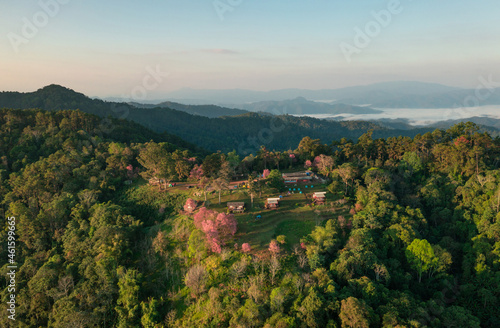 Aerial View of Doi Mae Taman, San Pa Kia. Mountains in the morning and the sea of mist, Doi Mae Taman, San Pa Kia. Chiang Mai Province, Thailand. Pink Cherry blossom. Camping.