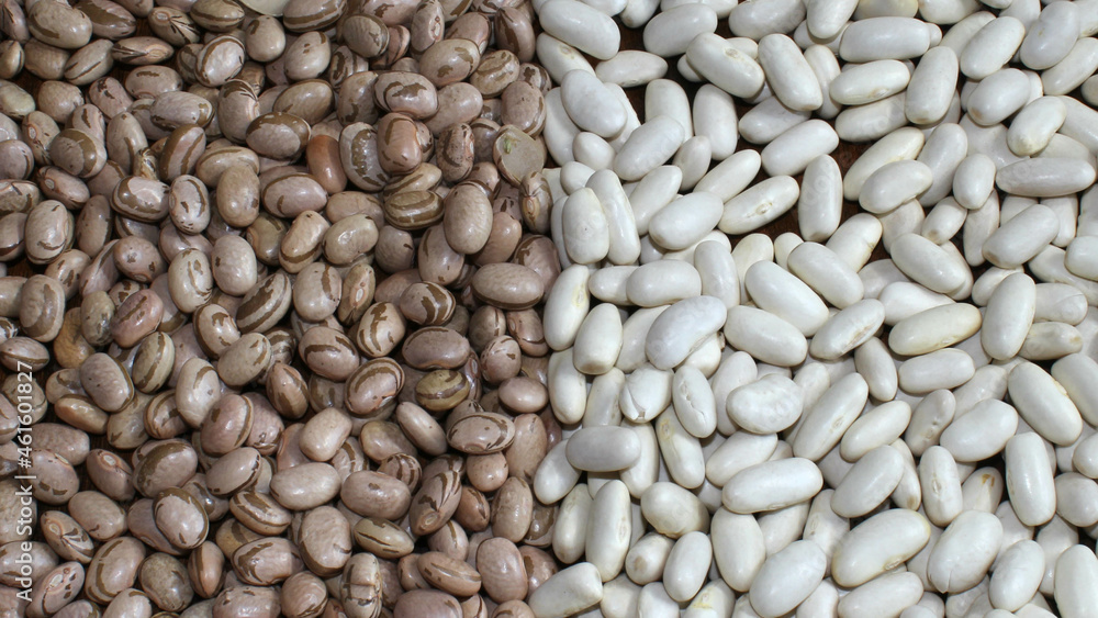 Carioca beans and navy beans close up. Beans background. Grains present in Brazilian cuisine Carioca beans and navy beans close up. Beans background. Grains present in Brazilian cuisine