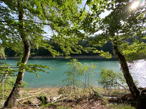 Artificial reservoir Lake Lokve or Artificial accumulation Lokvarsko Lake - Gorski kotar, Croatia (Lokvarsko jezero ili umjetno akumulacijsko Omladinsko jezero, Lokve - Gorski kotar, Hrvatska) photo