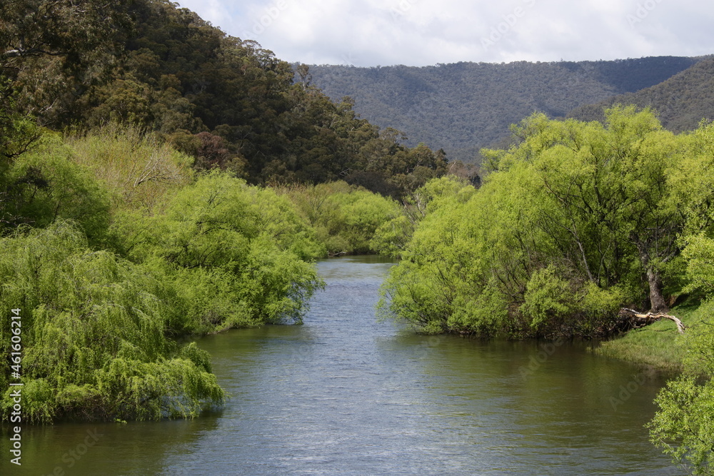 Mitta Mitta River, Victoria Australia. Mitta Mitta River, Victoria Australia.