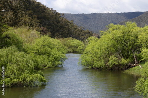 Mitta Mitta River, Victoria Australia.