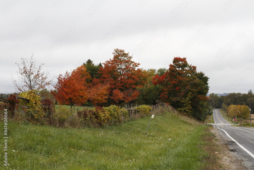autumn scenery with old wooden fence