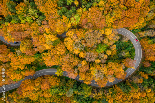 Having a trip in the autumn season, driving by car through the wonderful foliage. Top down shot by a drone.