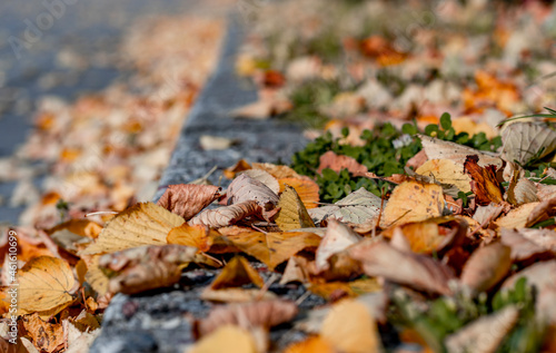 Fallen yellow, orange, golden autumn leaves on a stone pavement. Bokeh background. Beautiful autumn landscape (1507)