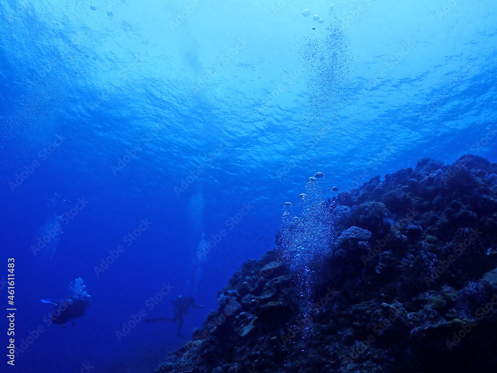 神秘的な青の海底／沖縄・慶良間諸島
