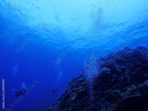 恩納村海底のサンゴ（沖縄） 