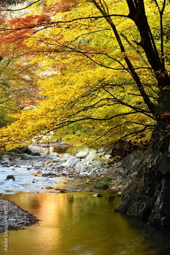 Oashi valley, Kanuma, Tochigi, in autumn photo